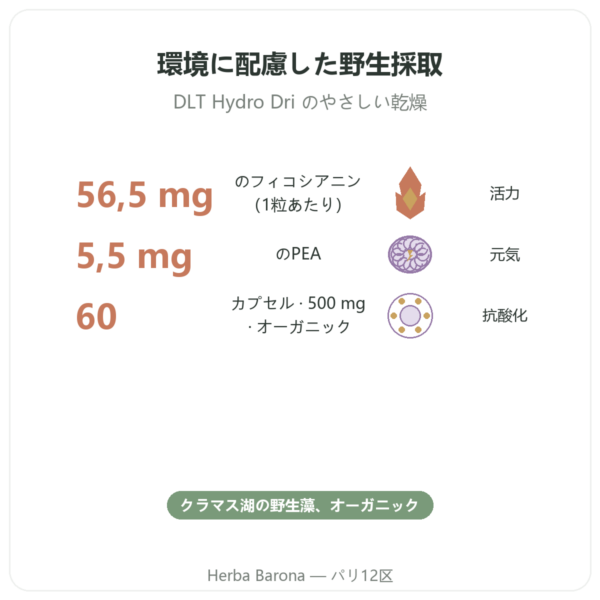 クラマス(AFA)オーガニック – Dynveo – DLT Hydro Dri® – 500mg / 60カプセル benefits and key facts Paris Herba Barona