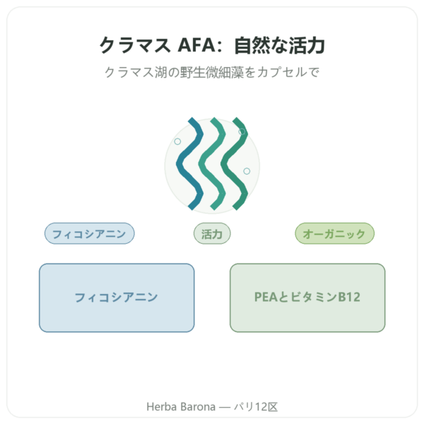 クラマス(AFA)オーガニック – Dynveo – DLT Hydro Dri® – 500mg / 60カプセル presentation Paris Herba Barona