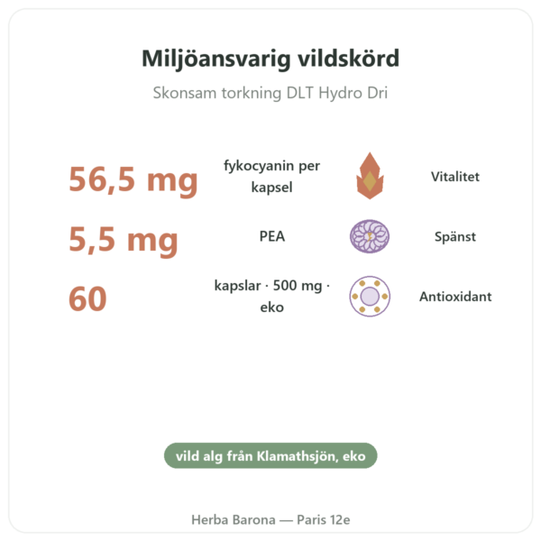 Klamath Ekologisk (AFA) – Dynveo – DLT Hydro Dri® – 500 mg / 60 kapslar fördelar och nyckelfakta Paris Herba Barona
