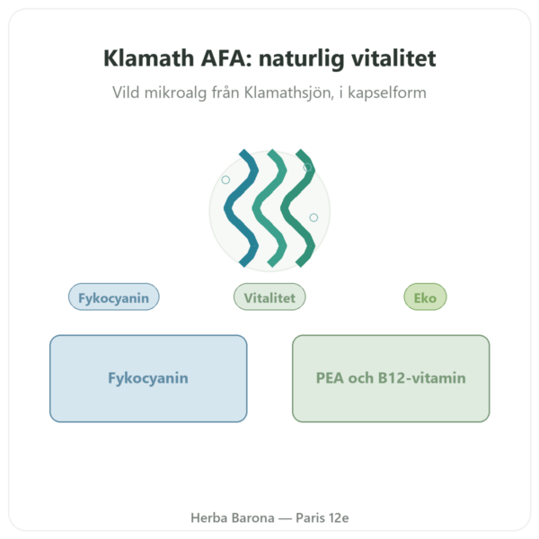 Klamath Ekologisk (AFA) – Dynveo – DLT Hydro Dri® – 500 mg / 60 kapslar presentation Paris Herba Barona
