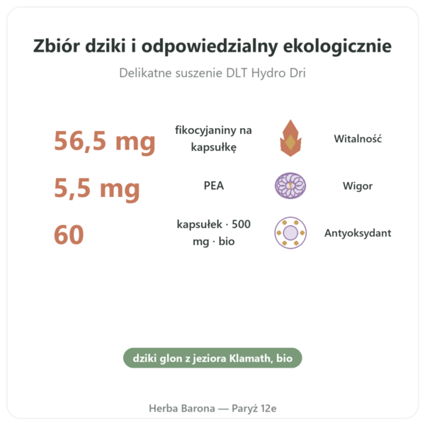 Klamath bio (AFA) – Dynveo – DLT Hydro Dri® – 500 mg / 60 kapsułek korzyści i najważniejsze fakty Paris Herba Barona