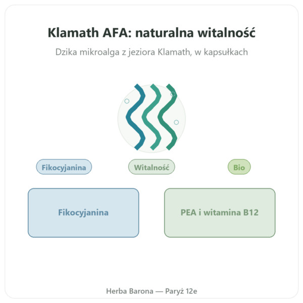 Klamath bio (AFA) – Dynveo – DLT Hydro Dri® – 500 mg / 60 kapsułek prezentacja Paris Herba Barona