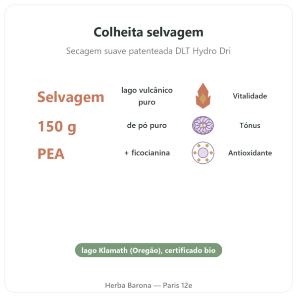 Klamath bio em Pó 150 g – Dynveo benefícios e dados principais Paris Herba Barona