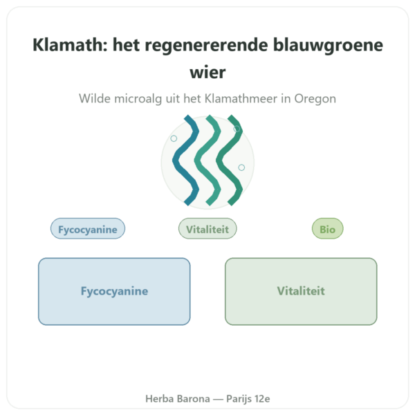 Klamath Bio Poeder 150 g – Dynveo presentatie Paris Herba Barona