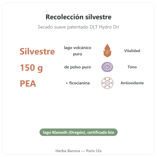 Klamath BIO en Polvo 150 g – Dynveo beneficios y datos clave Paris Herba Barona