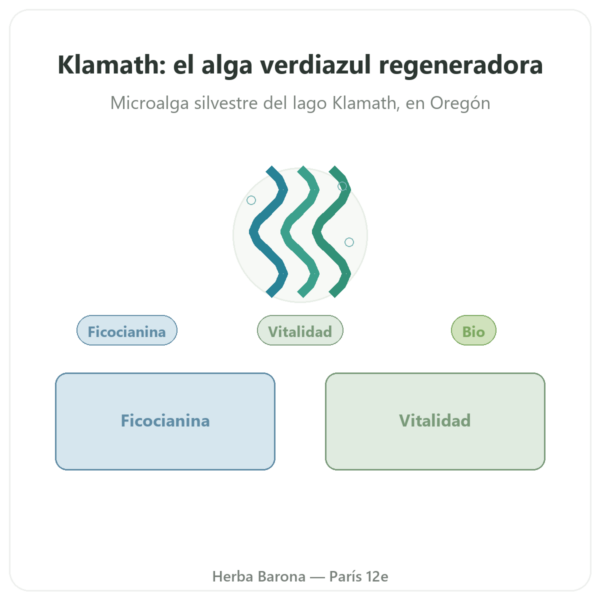 Klamath BIO en Polvo 150 g – Dynveo presentación Paris Herba Barona