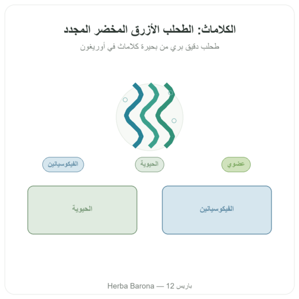 طحلب كلاماث عضوي مسحوق 150 g – Dynveo عرض المنتج Paris Herba Barona