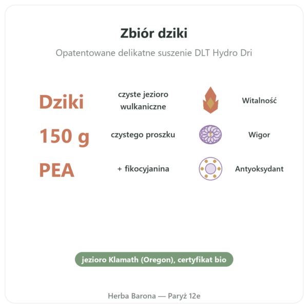 Klamath bio w Proszku 150 g – Dynveo korzyści i najważniejsze fakty Paris Herba Barona