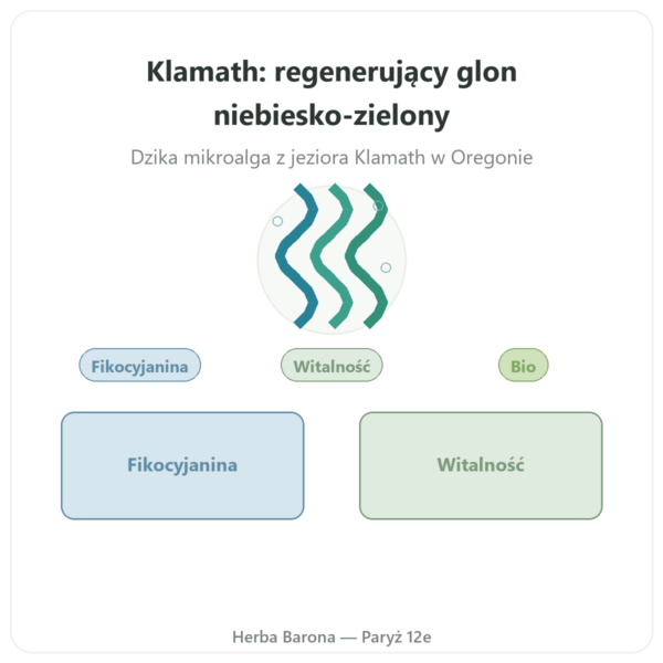 Klamath bio w Proszku 150 g – Dynveo prezentacja Paris Herba Barona