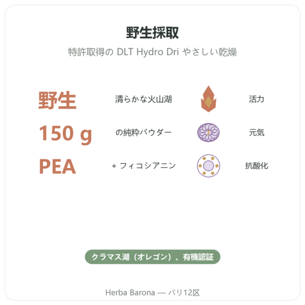 クラマス BIO パウダー 150 g – Dynveo benefits and key facts Paris Herba Barona