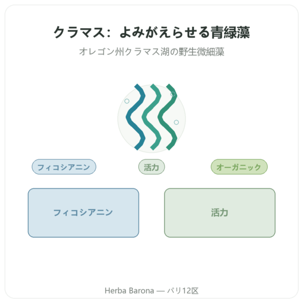 クラマス BIO パウダー 150 g – Dynveo presentation Paris Herba Barona