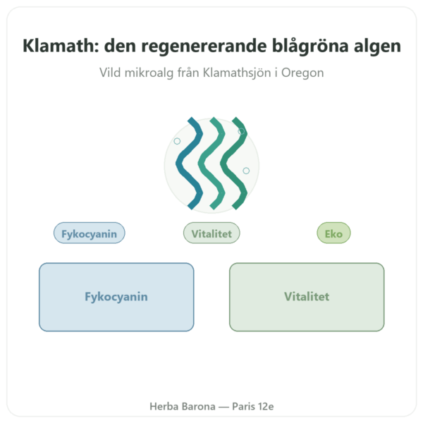 Klamath eko i pulver 150 g – Dynveo presentation Paris Herba Barona