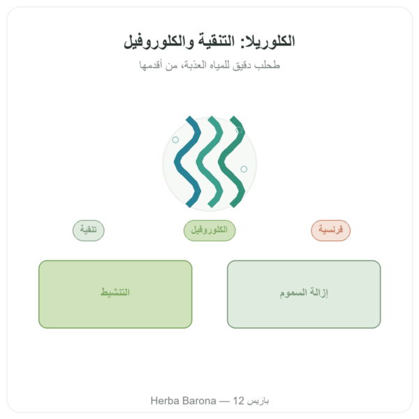 كلوريلا – فلامان فير – 180 قرص عرض المنتج Paris Herba Barona