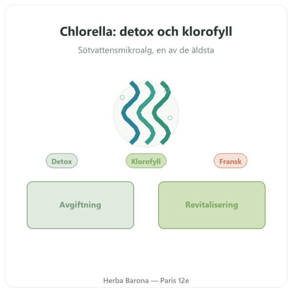 Klorella – Flamant Vert – 180 tabletter presentation Paris Herba Barona