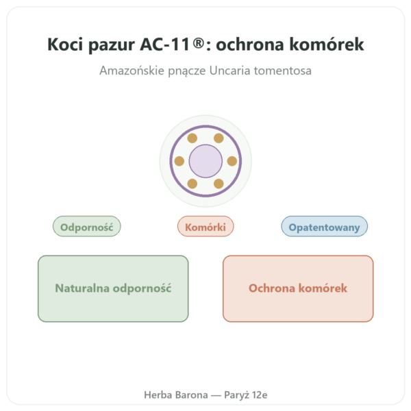 Kocia pazur AC-11® – Dynveo – 350 mg – 60 kapsułek prezentacja Paris Herba Barona