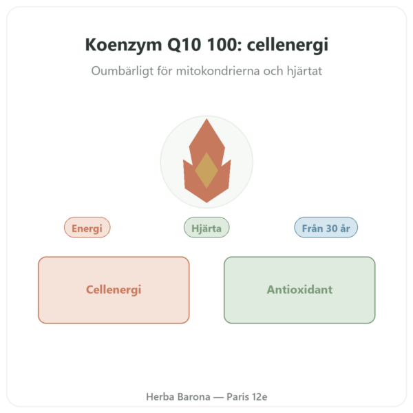 Koenzym Q10 100 mg – Distriform' – 60 kapslar presentation Paris Herba Barona