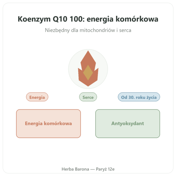 Koenzym Q10 100 mg – Distriform' – 60 kapsułek prezentacja Paris Herba Barona