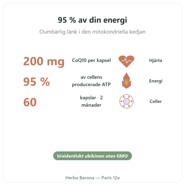 Koenzym Q10 – SIHO – 200 mg – 60 kapslar fördelar och nyckelfakta Paris Herba Barona