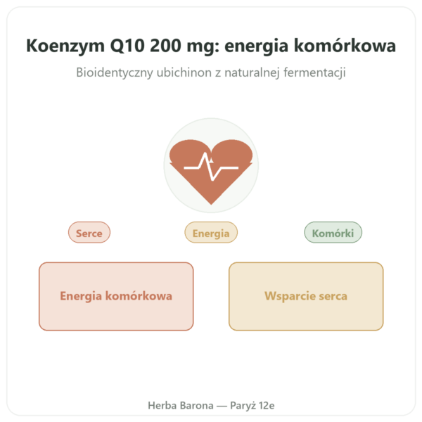 Koenzym Q10 – SIHO – 200 mg – 60 kapsułek prezentacja Paris Herba Barona