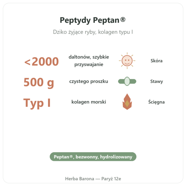 Kolagen morski hydrolizowany w proszku – peptydy – Dynveo korzyści i najważniejsze fakty Paris Herba Barona