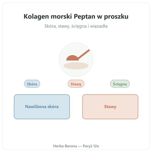 Kolagen morski hydrolizowany w proszku – peptydy – Dynveo prezentacja Paris Herba Barona
