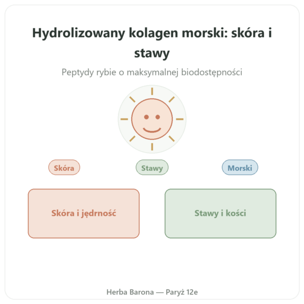 Kolagen morski w kapsułkach hydrolizowany prezentacja Paris Herba Barona