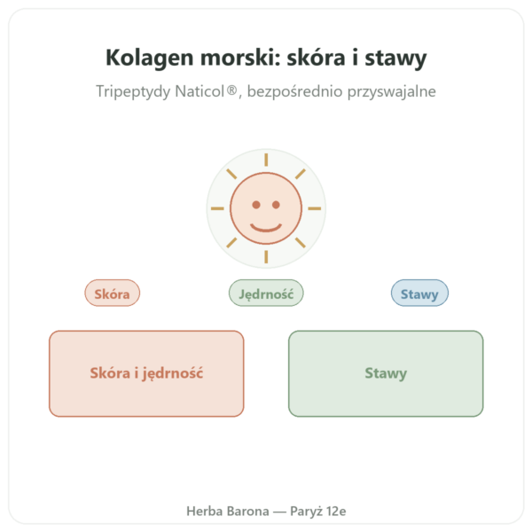 Kolagen morski skoncentrowany – Dynveo – 120 kapsułek w Paryżu prezentacja Paris Herba Barona