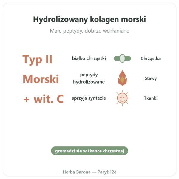 Collagène Marin de Type II Vital Osmose w kapsułkach korzyści i najważniejsze fakty Paris Herba Barona