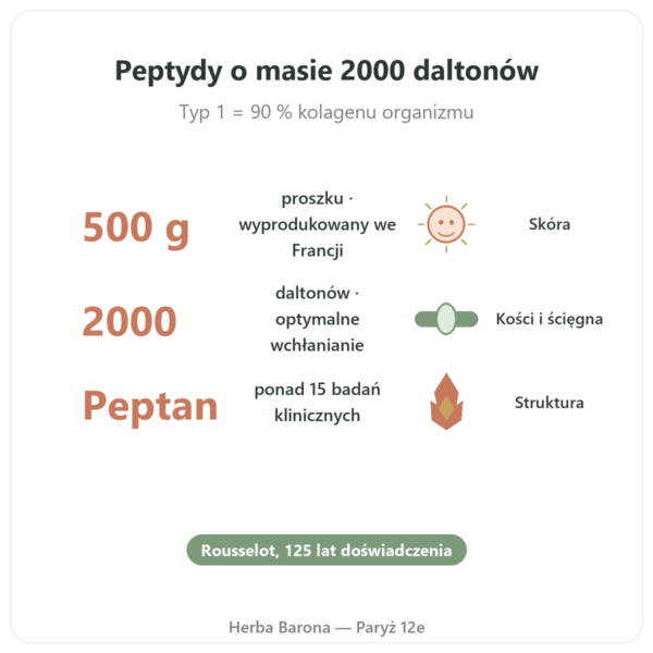 Kolagen Peptyd Typ 1 Wołowy 500g – Nutrimuscle korzyści i najważniejsze fakty Paris Herba Barona