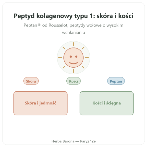 Kolagen Peptyd Typ 1 Wołowy 500g – Nutrimuscle prezentacja Paris Herba Barona