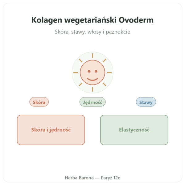 Kolagen Wegetariański – Dynveo – 60 kaps. – kolagen, elastyna, kwas hialuronowy prezentacja Paris Herba Barona
