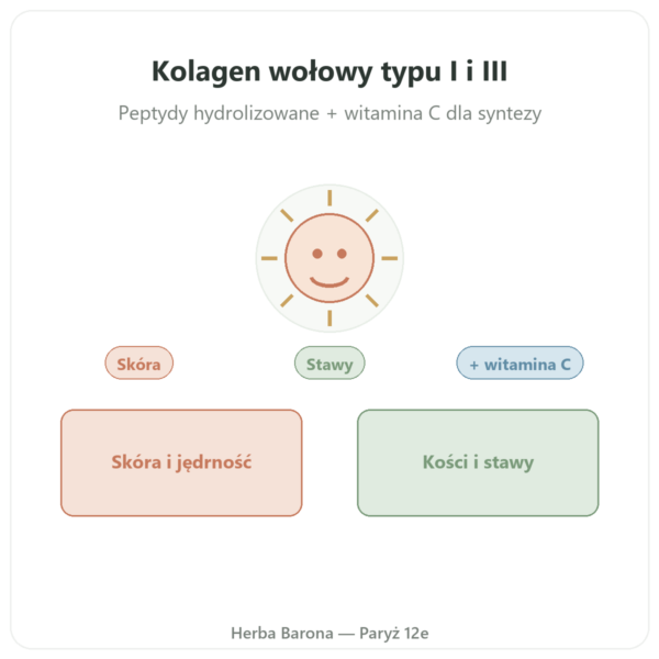 Kolagen wołowy w tabletkach Typ 1 i 3 Doctor's Best prezentacja Paris Herba Barona