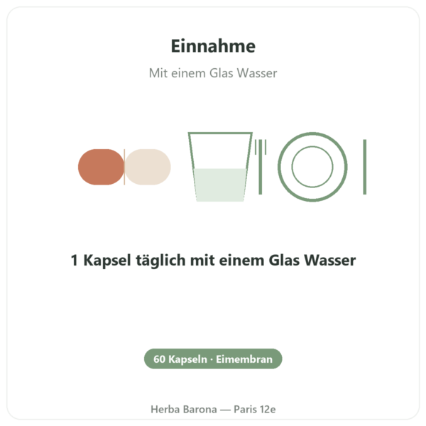 Kollagen Ovoderm® aus Eimembran – Dynveo – 60 Kapseln Anwendung und Dosierung Paris Herba Barona