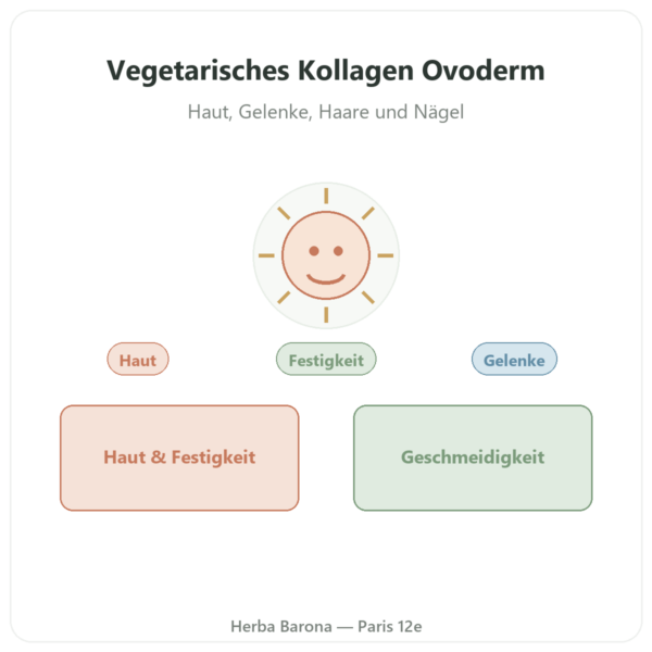 Kollagen Ovoderm® aus Eimembran – Dynveo – 60 Kapseln Vorstellung Paris Herba Barona