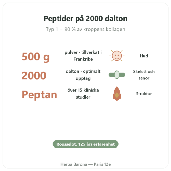 Kollagenpeptid Typ 1 Nötkött 500g – Nutrimuscle fördelar och nyckelfakta Paris Herba Barona
