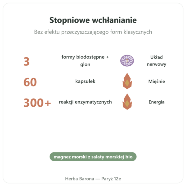 Kompleks Magnezu – Nutrimuscle – 60 kapsułek korzyści i najważniejsze fakty Paris Herba Barona