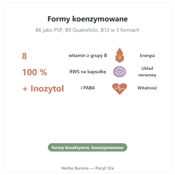 Kompleks witamin B – Multi B – 60 kapsułek – Dynveo korzyści i najważniejsze fakty Paris Herba Barona