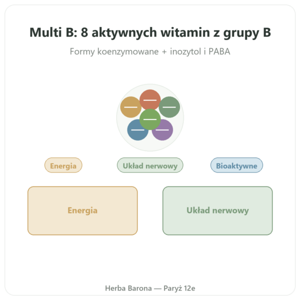 Kompleks witamin B – Multi B – 60 kapsułek – Dynveo prezentacja Paris Herba Barona