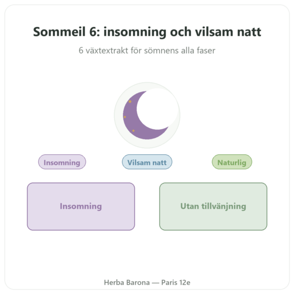 SÖMN 6 – Dynveo – Insomning & återhämtande sömn – 60 kapslar – 1 månads kur presentation Paris Herba Barona