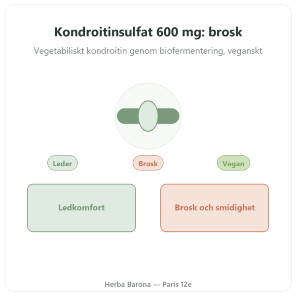 Kondroitinsulfat 600 mg – 60 kapslar – Dynveo presentation Paris Herba Barona