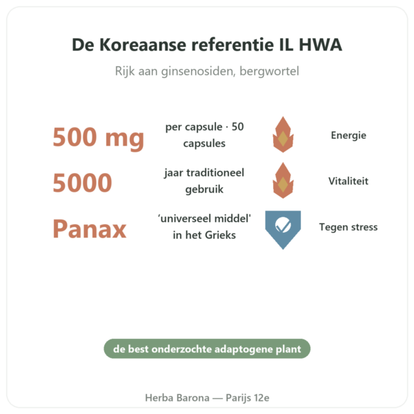 Koreaanse Ginseng 50 Capsules 500mg IL HWA Korea – Adaptogeen voordelen en kerngegevens Paris Herba Barona