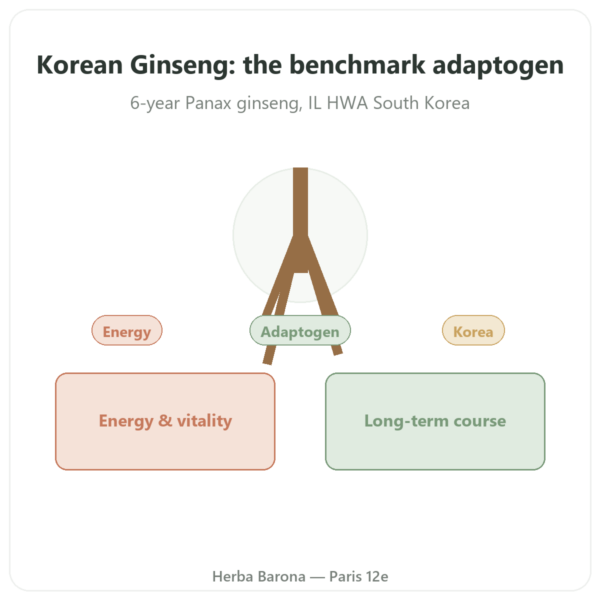 Korean Ginseng 100 Capsules 500mg – IL HWA Korea – Adaptogen presentation Paris Herba Barona