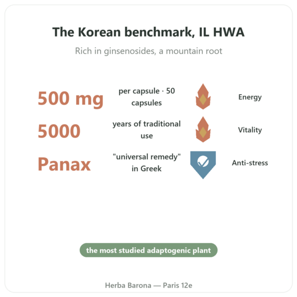 Korean Ginseng – IL HWA – 50 Capsules – 500mg benefits and key facts Paris Herba Barona