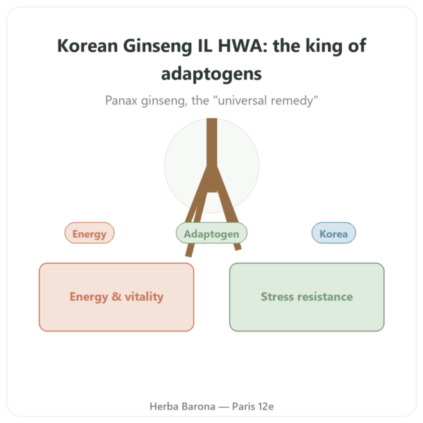 Korean Ginseng – IL HWA – 50 Capsules – 500mg presentation Paris Herba Barona
