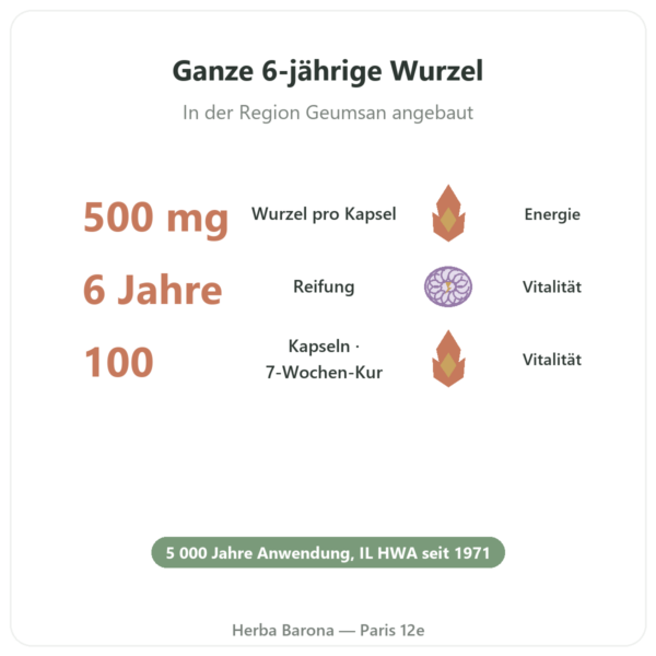 Koreanischer Ginseng 100 Kapseln 500mg – IL HWA – Adaptogen Vorteile und Fakten Paris Herba Barona