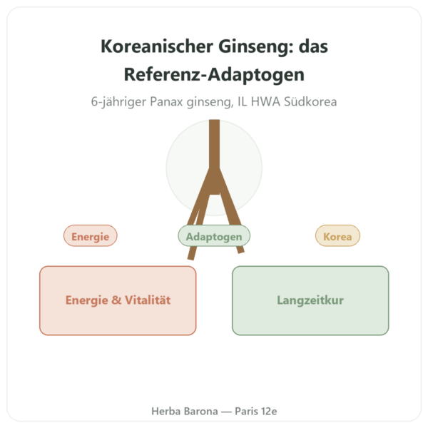 Koreanischer Ginseng 100 Kapseln 500mg – IL HWA – Adaptogen Vorstellung Paris Herba Barona