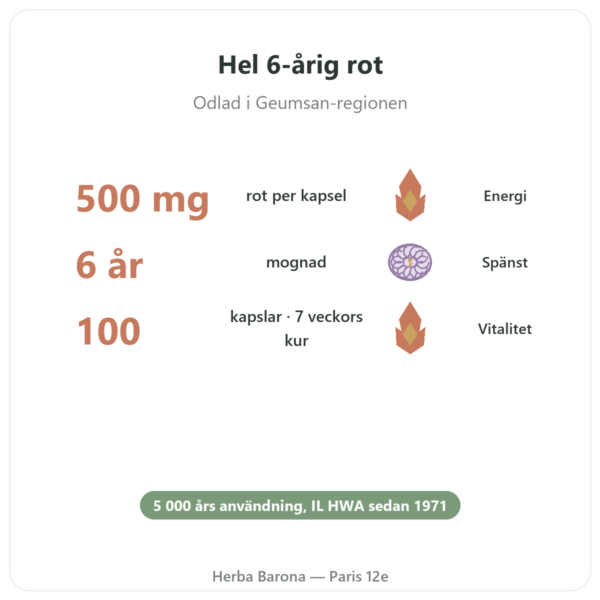 Koreansk Ginseng 100 kapslar 500 mg IL HWA Korea - Adaptogen fördelar och nyckelfakta Paris Herba Barona