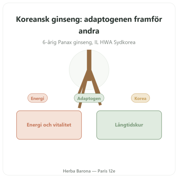 Koreansk Ginseng 100 kapslar 500 mg IL HWA Korea - Adaptogen presentation Paris Herba Barona
