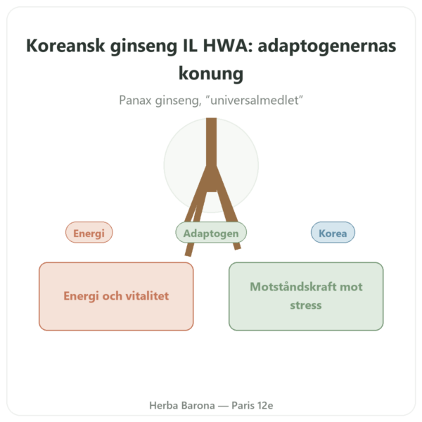 Koreansk Ginseng 50 Kapslar 500 mg IL HWA Korea – Adaptogen presentation Paris Herba Barona