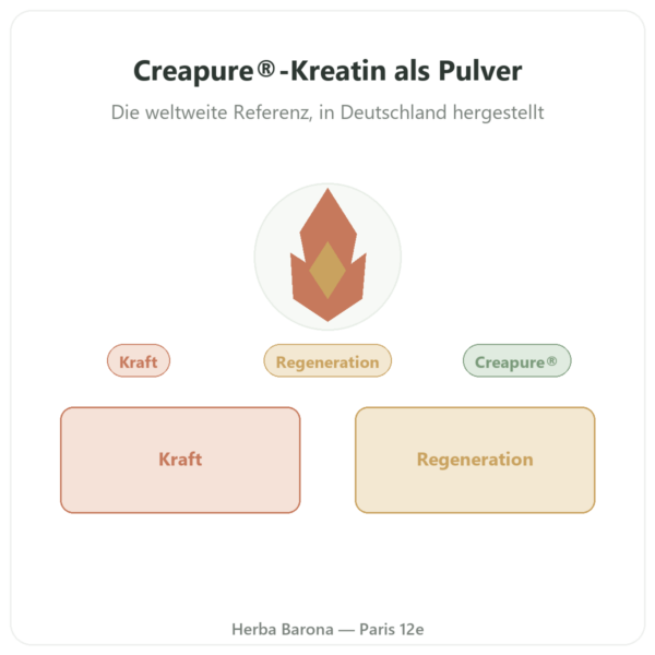 Kreatin-Monohydrat Creapure® Pulver 250 g – Dynveo Vorstellung Paris Herba Barona